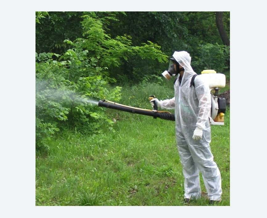 обработка территории от клещей в Замоскворечье города Москвы