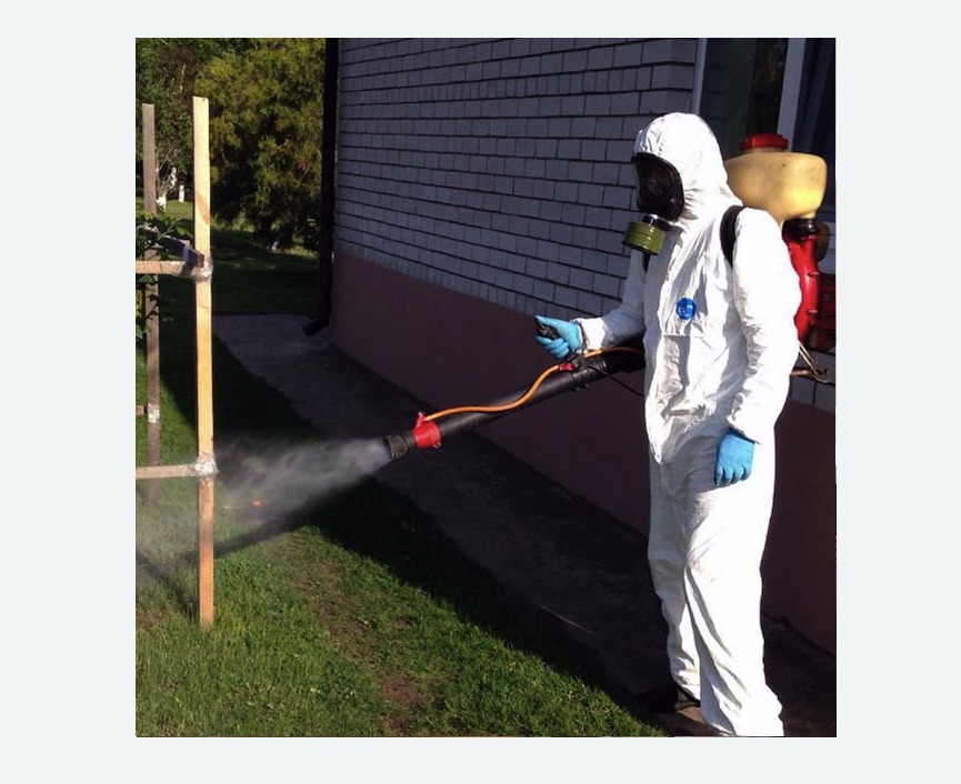 травля клещей на участке в Замоскворечье города Москвы