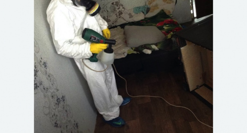 Обработка квартир от насекомых в Замоскворечье города Москвы