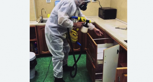 Дезинсекция квартиры. Замоскворечье