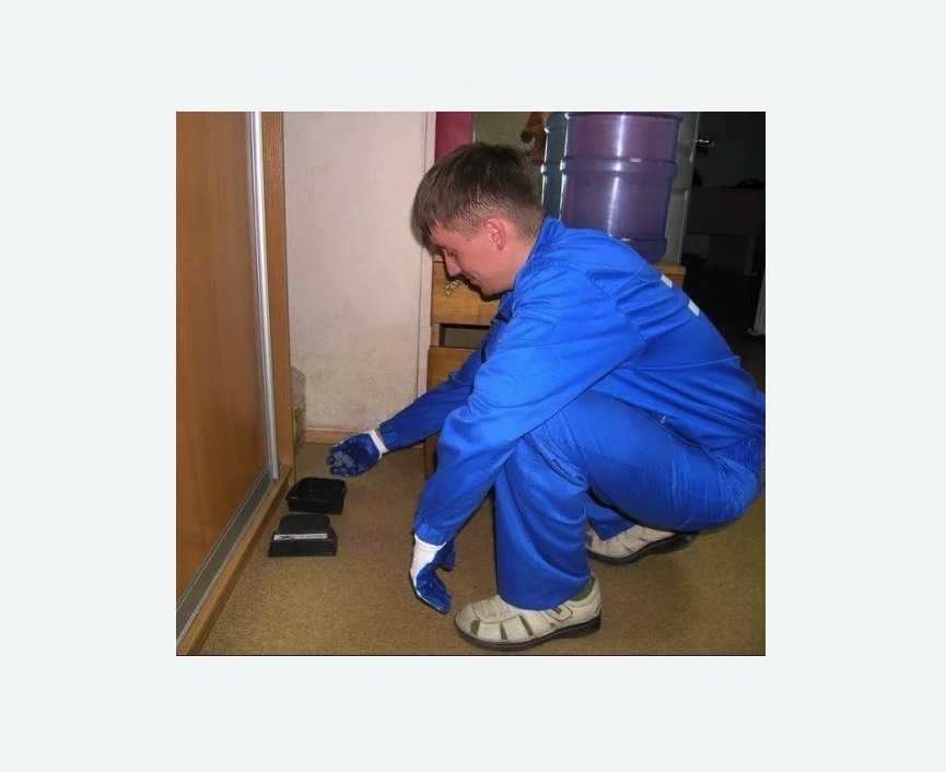 Дератизация крыс в Замоскворечье города Москвы