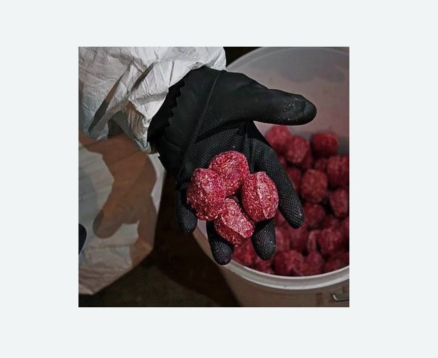 Обработка от крыс в Замоскворечье города Москвы