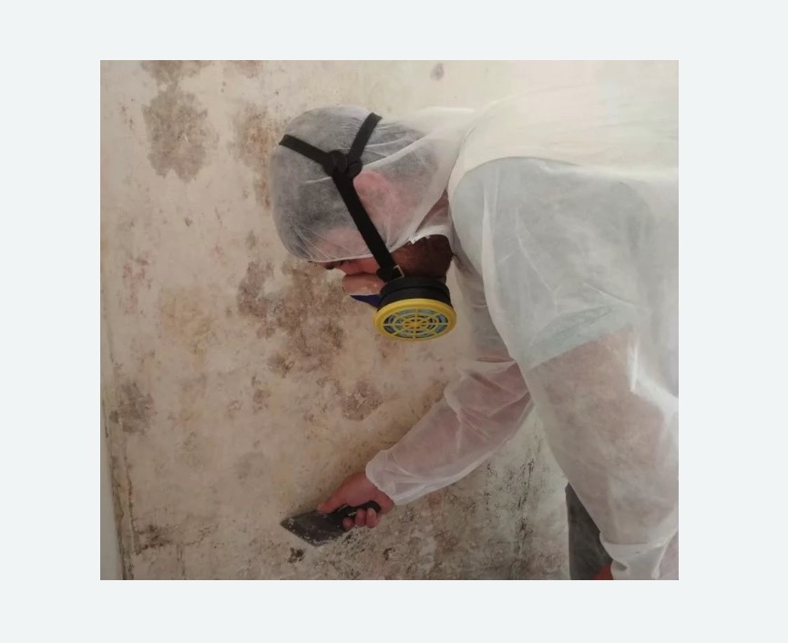 Обработка стен от плесени в Замоскворечье города Москвы