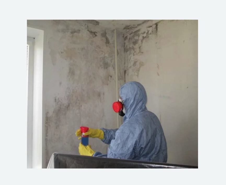 Удаление плесени в квартире в Замоскворечье города Москвы