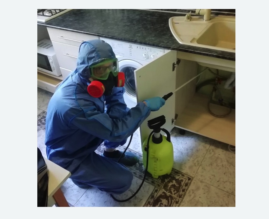 обработка от муравьев в квартире в Замоскворечье города Москвы