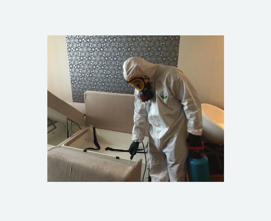 уничтожение клопов в квартире в Замоскворечье города Москвы