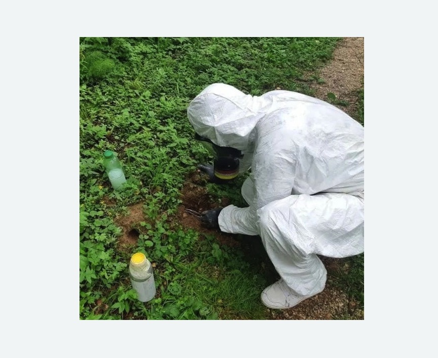 уничтожение кротов на участке в Замоскворечье города Москвы