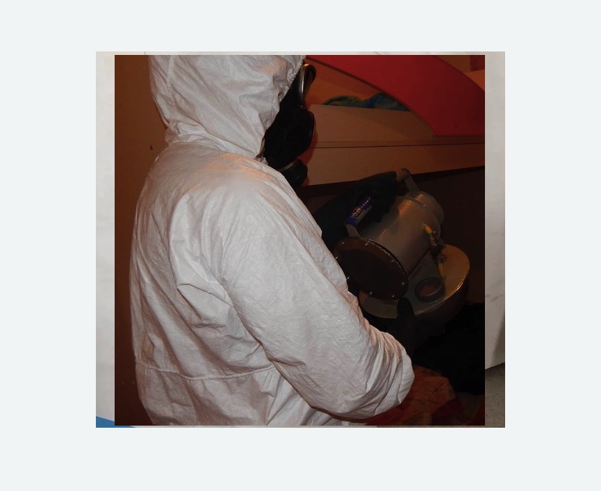 Дезинфекция от муравьев в Замоскворечье города Москвы