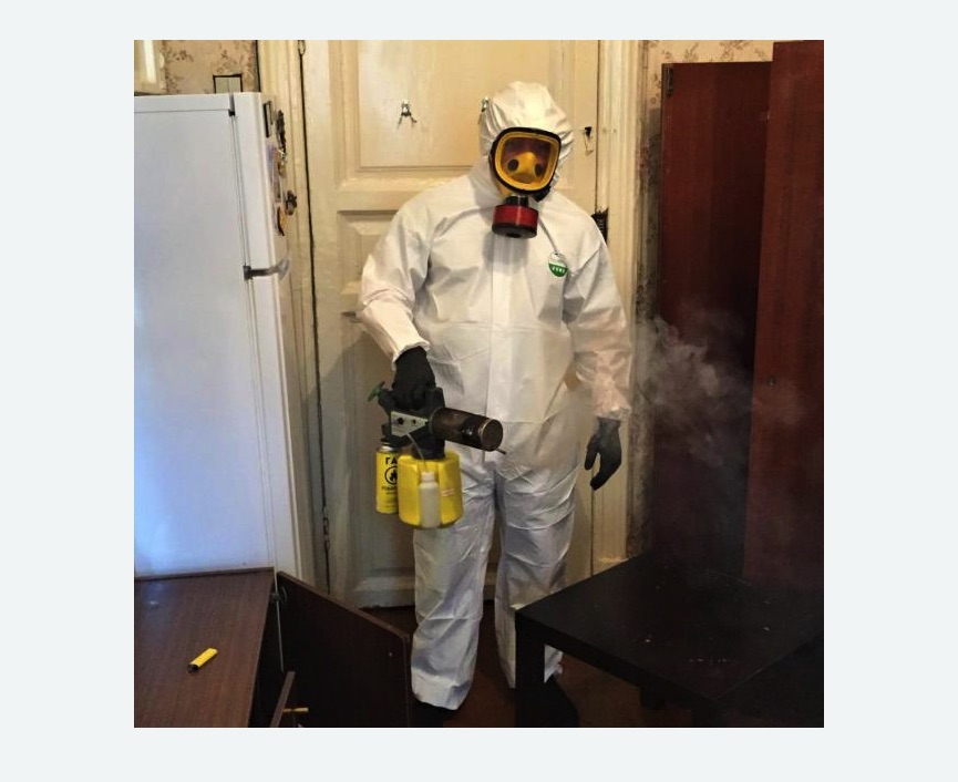 уничтожение муравьев в квартире в Замоскворечье города Москвы